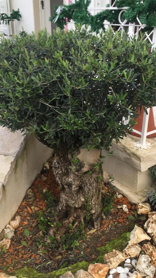 Il Casale Di Gio Bed & Breakfast Napoli Eksteriør bilde